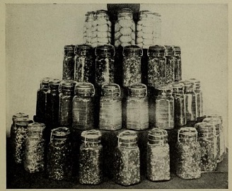display of food canned in jars