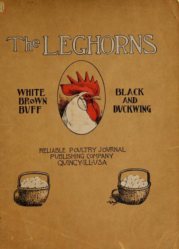 The Leghorns: Brown, White, Black, Buff and Duckwing
