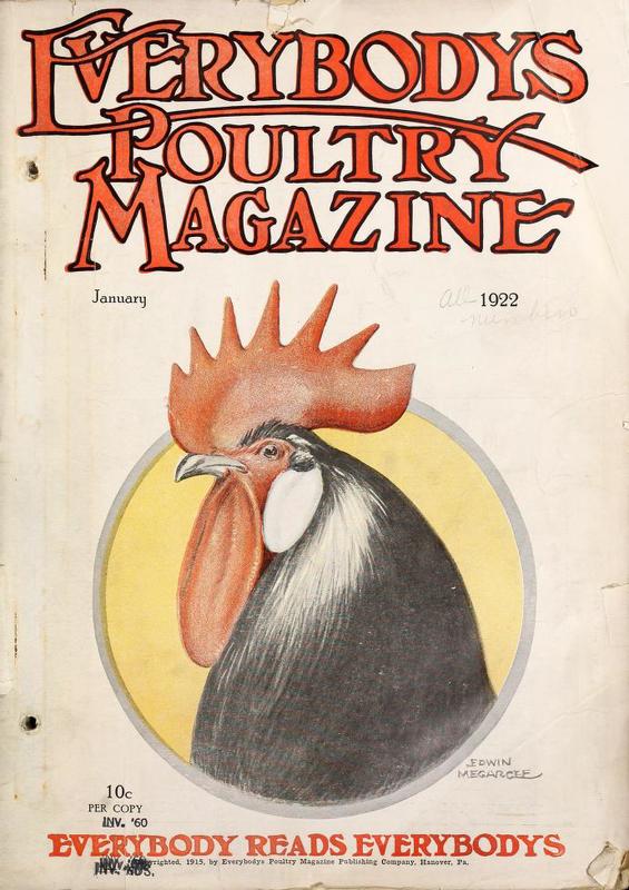 Everybodys Poultry Magazine