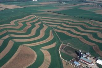 Aerial image of fields with green growth and brown dirt with farm buildings