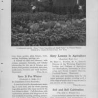 Bibliograpgh of War Gardens 9.jpg