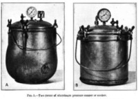 Home Canning of Fruits and Vegetables 3.PNG