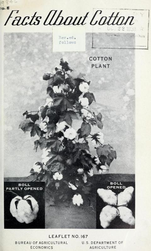 Facts About Cotton Cover.jpg