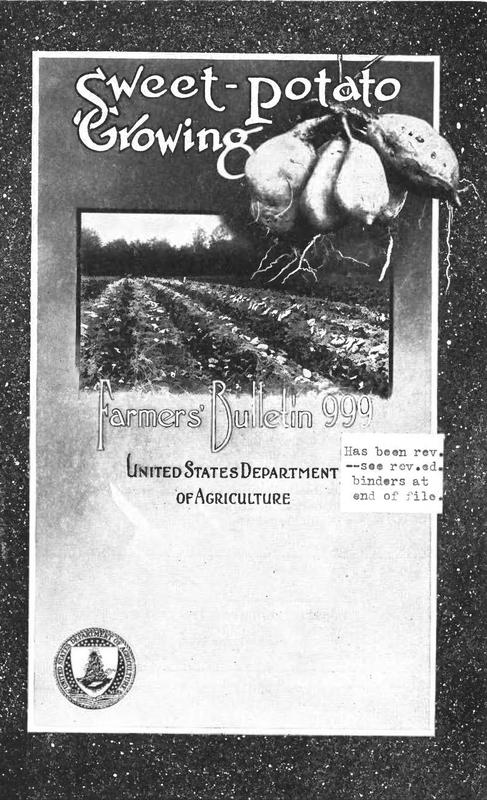 Sweet Potato Growing cover.jpg