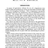 Cowpeas 1908  Introduction.jpg