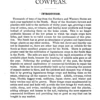 Cowpeas 1.jpg