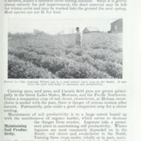 Legumes in Soil Conservation Practices 6.jpg