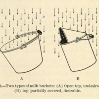 Lessons on Dairying for Rural Schools 4.jpg