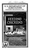 Feeding Chickens Cover.jpg