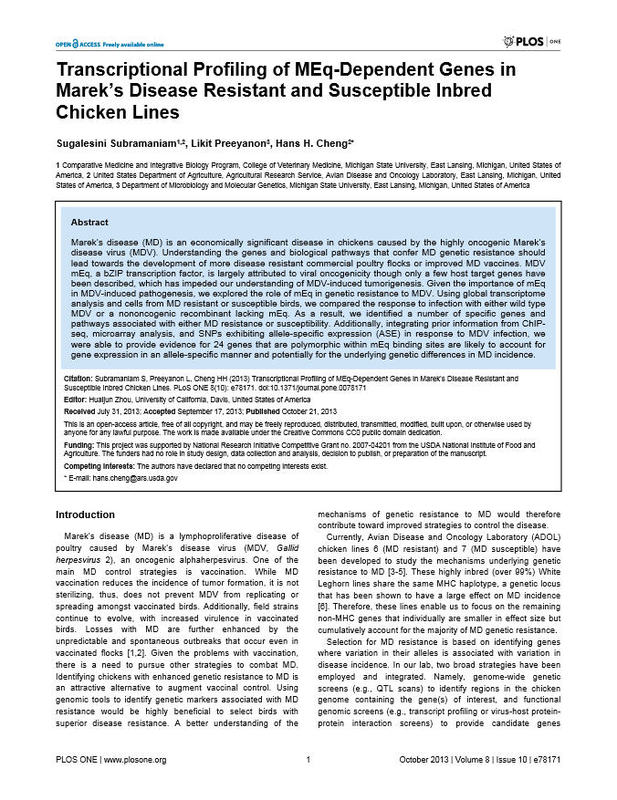 Transcriptional Profiling of MEq-Dependent Genes in Marek’s Disease Resistant and Susceptible Inbred Chicken Lines.jpg