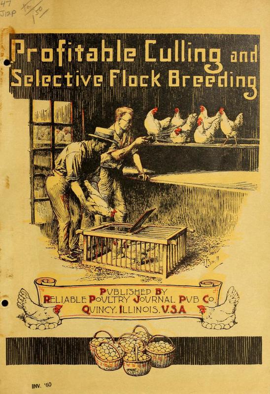 Profitable Culling and Selective Flock Breeding.jpg