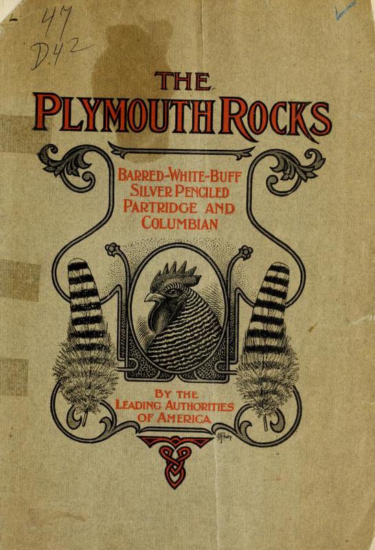 The Plymouth Rocks.jpg