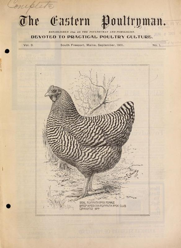The Easten Poultryman Volume 3 Number 1.jpg