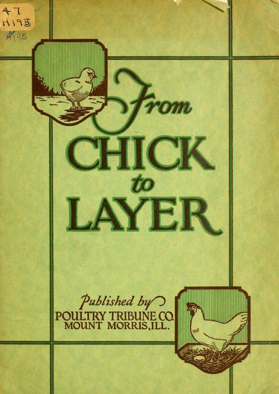 From Chick to Layer.jpg