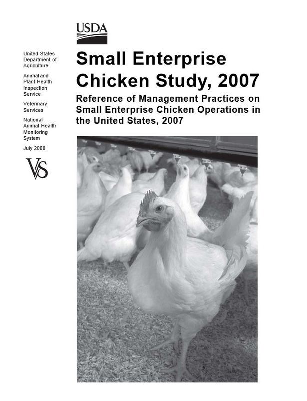 Small Enterprise Chicken Study, 2007.JPG