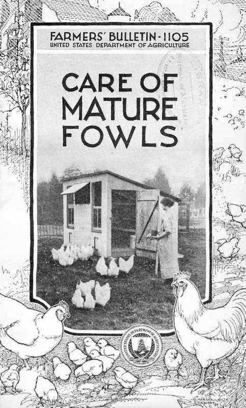 Care of Mature Fowls