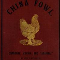 The China Fowl.jpg