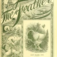 The Feather Volume 3 Number 1.jpg