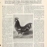 American Poultry World Volume 8 4.jpg