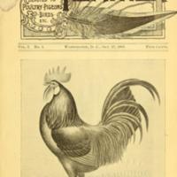 The Feather Volume 1 Number 1.jpg