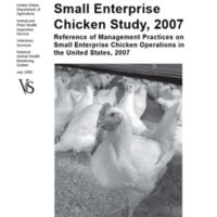 Small Enterprise Chicken Study, 2007.JPG