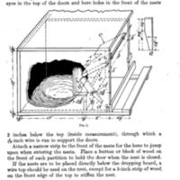 ASimpleTrapNestforPoultry3.jpg