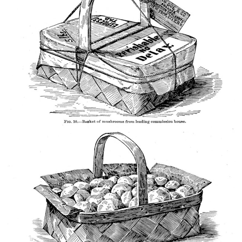 How to Grow Mushrooms Basket 1.jpg