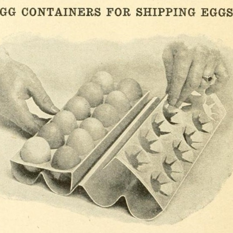 Egg Container 1.jpg