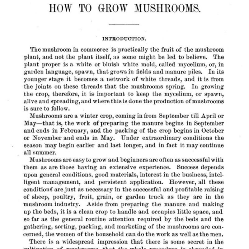 How to Grow Mushrooms Introduction.jpg