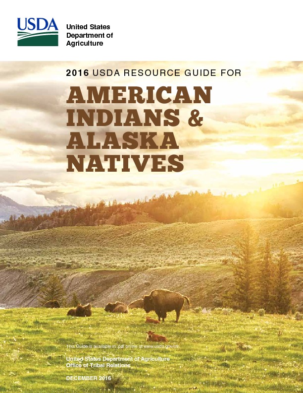 2016-usda-tribal-guide.pdf