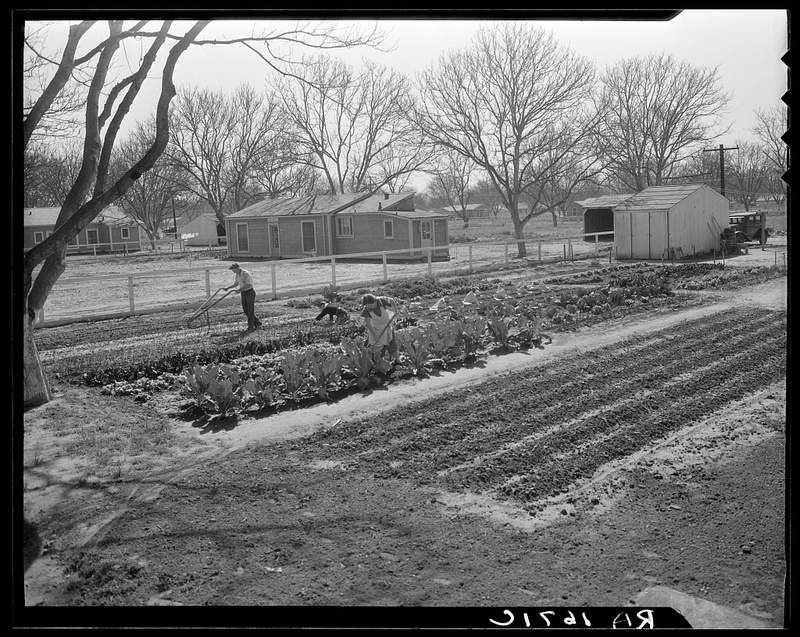 El Monte federal subsistence homesteads.jpg