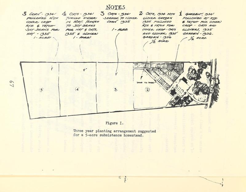 Three year planting arrangement.jpg