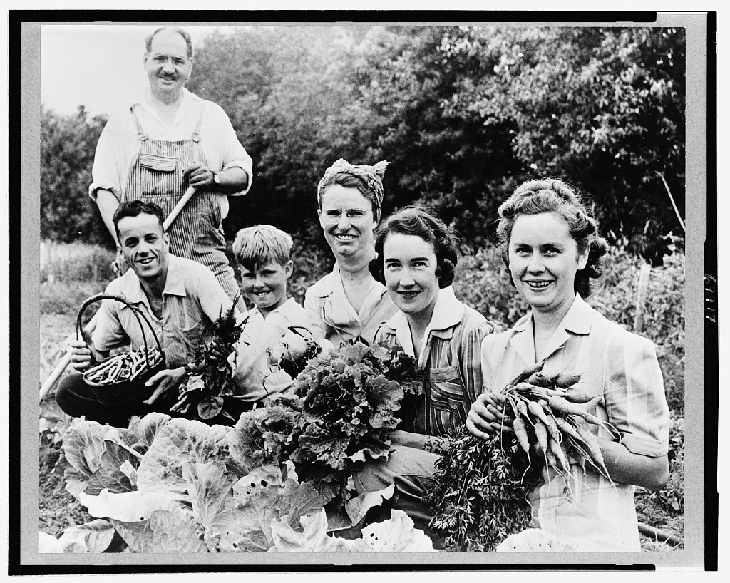 Six gardeners in their Victory Garden