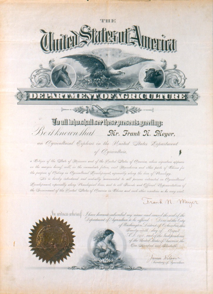 http://omeka-dev.nal.usda.gov/exhibits/files/imports/meyer/meyer_certificate.jpg