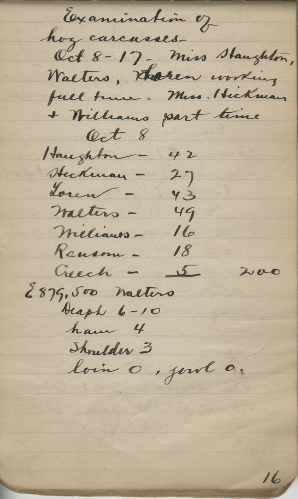 Thumbnail for the first (or only) page of Brayton Howard Ransom&#039;s trichina notebook page 16 covering examination of hog carcasses and staff time applied to work.