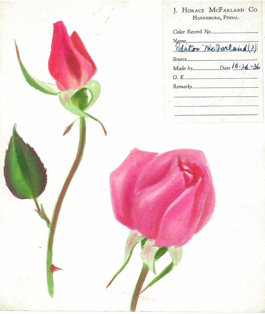 https://omeka-dev.nal.usda.gov/exhibits/speccoll/files/imports/McFarland/McFarland_Watercolor_EditorMcFarlandfront1.jpg