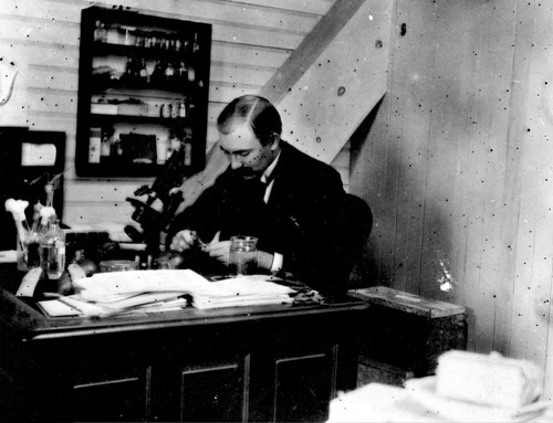 Image (illustration or photograph) for this item, linking to higher res image.