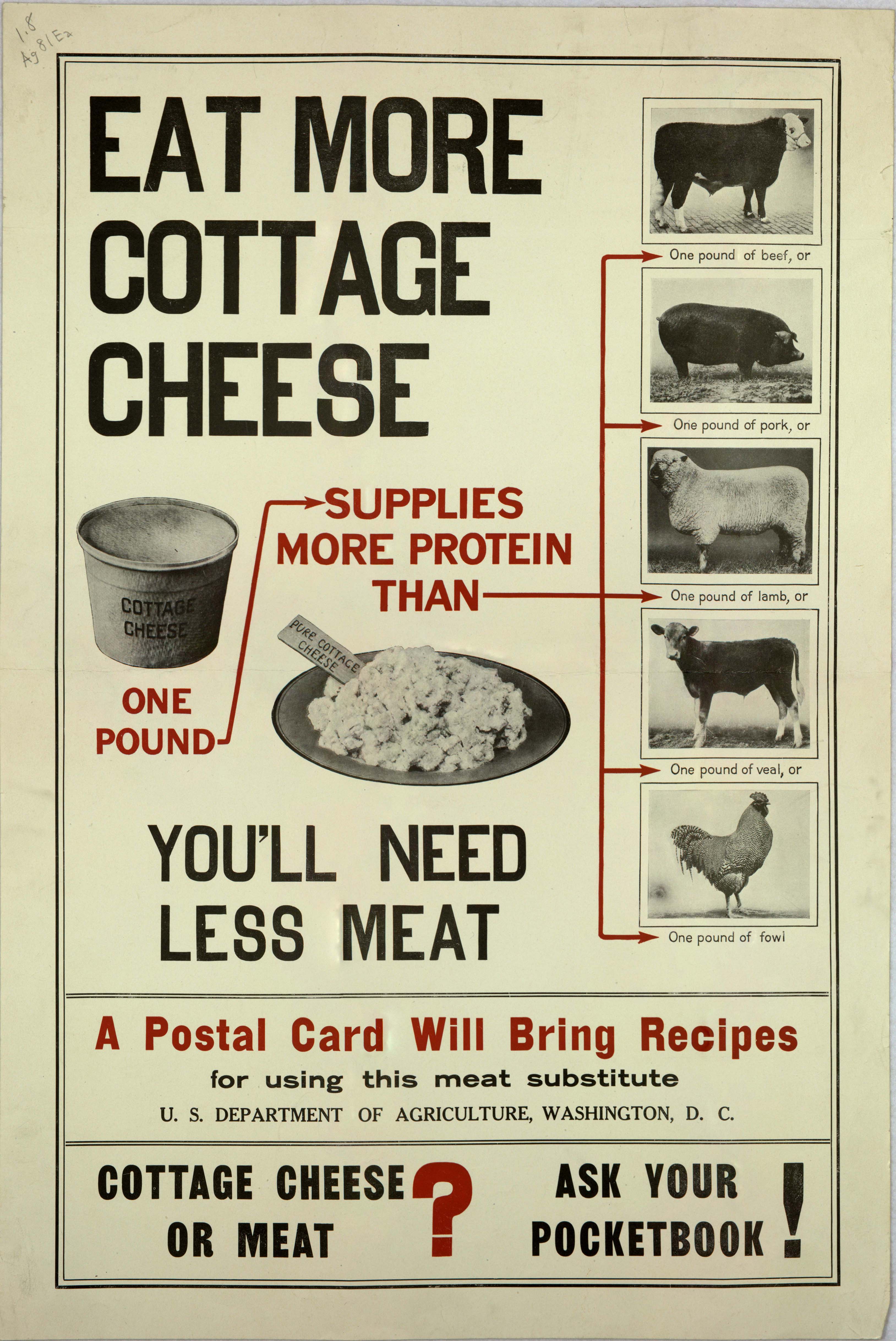 Eat More Cottage Cheese Special Collections Exhibits