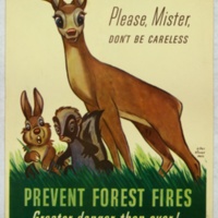 http://omeka-dev.nal.usda.gov/exhibits/files/imports/smokey/forest_service/smokey_disney.jpg