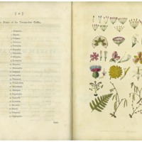 Linnaeus&#039;s System of Botany - Plate One