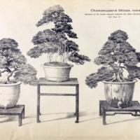 http://omeka-dev.nal.usda.gov/exhibits/files/imports/catalogs/yokohama1898p57.jpg