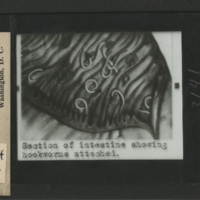 Thumbnail for the first content page of the item, linking to the full file.