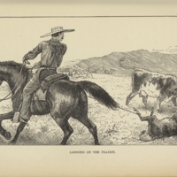 Prairie Experiences in Handling Cattle and Sheep, p.40 Illustration