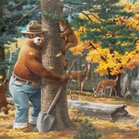 http://omeka-dev.nal.usda.gov/exhibits/files/imports/smokey/wendelin/treefriends.jpg