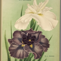 http://omeka-dev.nal.usda.gov/exhibits/files/imports/catalogs/iris18005.jpg