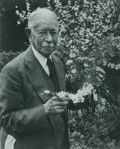 Thumbnail for the first (or only) page of J. Horace McFarland holding a branch of a rose bush in his garden at Breeze Hill, Harrisburg, Pennsylvania.