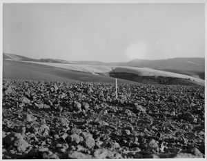 Thumbnail for the first (or only) page of Seed bed on Palouse silty clay loam east of Walla Walla, Washington..