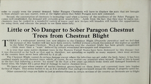 Thumbnail for the first (or only) page of Little or no Danger to Sober Paragon Chestnut Trees from Chestnut Blight.