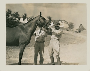 Thumbnail for the first (or only) page of Inspection of a new horse&#039;s teeth.