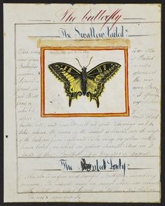 Thumbnail for the first (or only) page of The Swallow-tailed Butterfly from Riley&#039;s manuscript, Natural History of Insects, 1858..